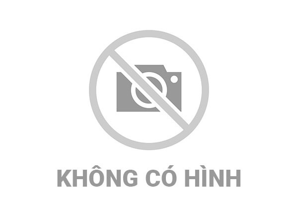 ĐẢNG BỘ XÃ NA DƯƠNG TỔ CHỨC ĐẠI HỘI ĐẠI BIỂU,  NHIỆM KỲ 2025 - 2030