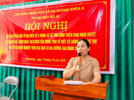 HỘI ĐỒNG NHÂN DÂN